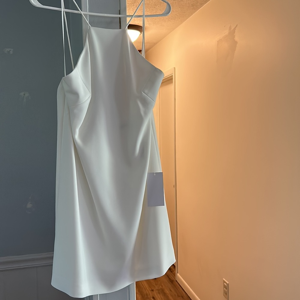 NWT Jay Godfrey Raycrodt Dress